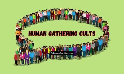 Human Gathering Cults