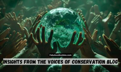 Insights from the Voices of Conservation Blog