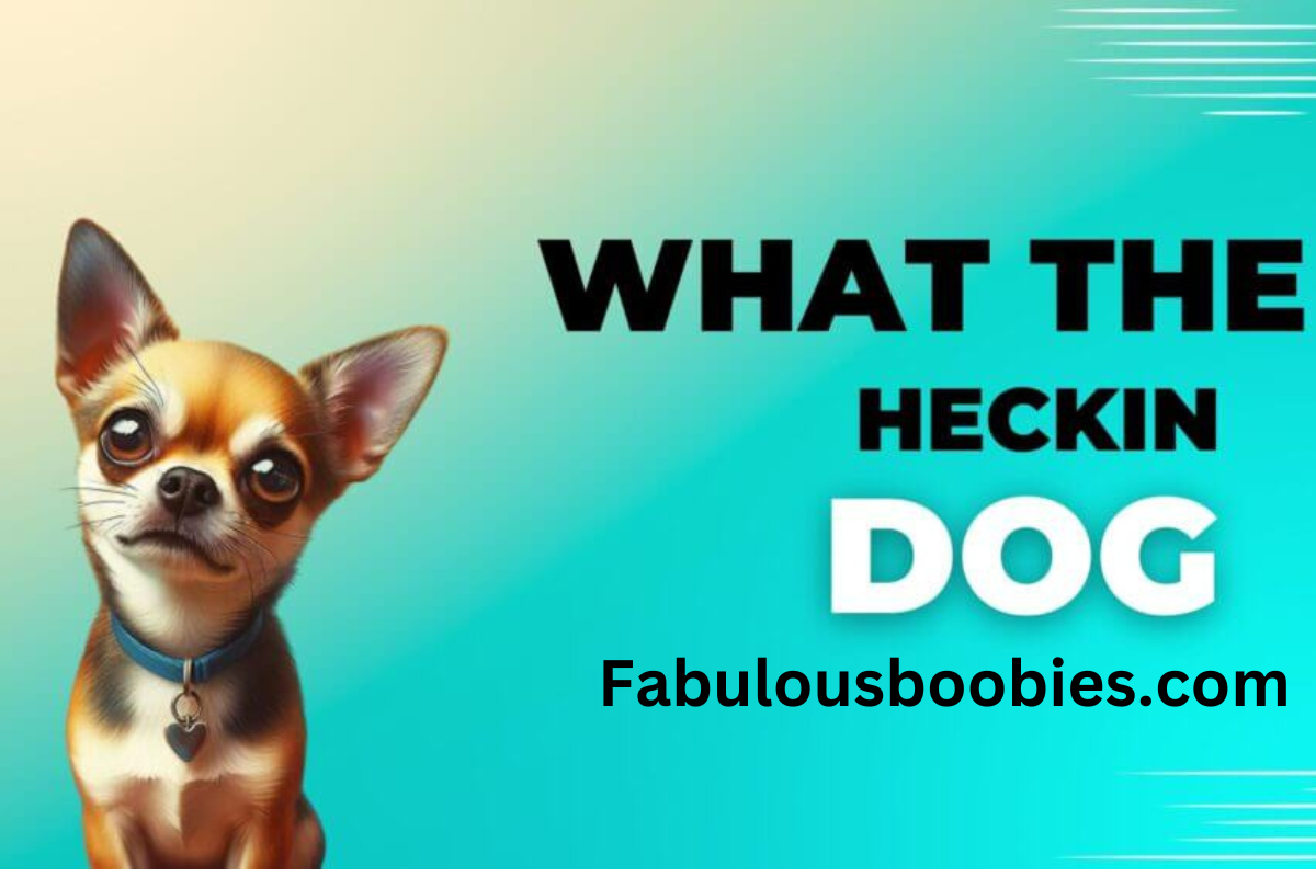What The Heckin Dog