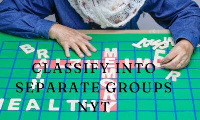 Classify Into Separate Groups NYT Crossword Clue Solved