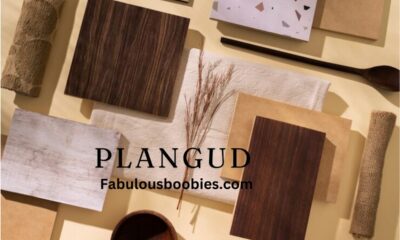 Plangud