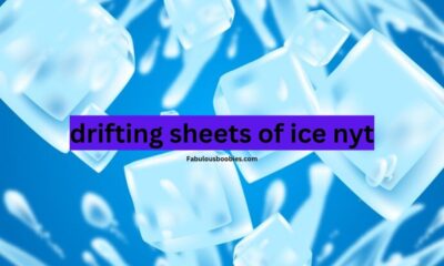 drifting sheets of ice nyt